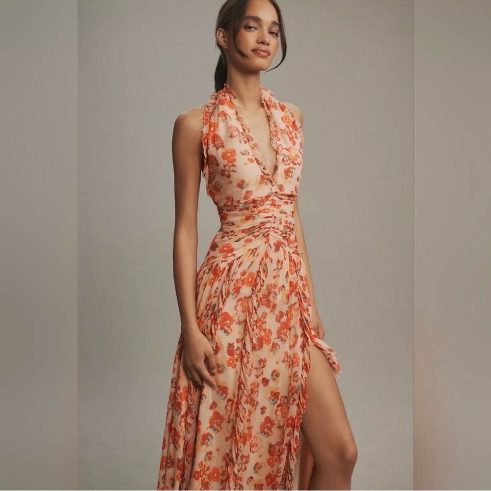 BHLDN Juliette Sleeveless Chiffon Ruffle Maxi Neutral Floral XXL